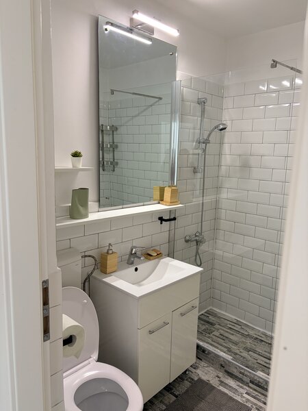 Vatra Luminoasa- Iancului